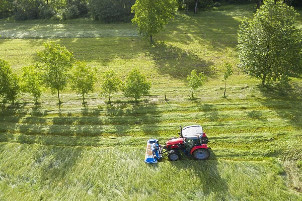 tractor in field cutting grass for hay, Valtellina, Sondrio Province, Lombardy, Italy
