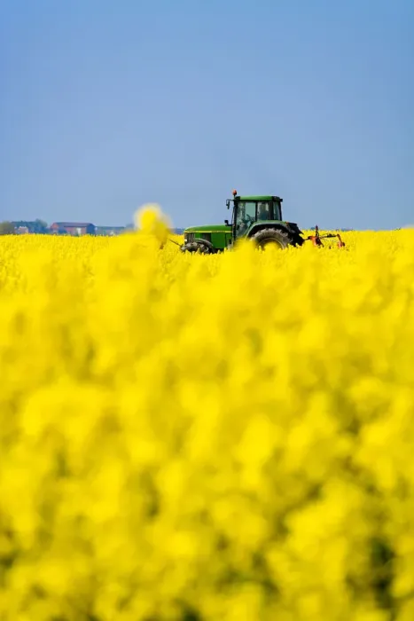 Framed Print : Tractor in a field, Pellworm Island, Northern Frisia, Schleswig Holstein, Germany Framed Print : Tractor in a field, Pellworm Island, Northern Frisia, Schleswig Holstein, Germany