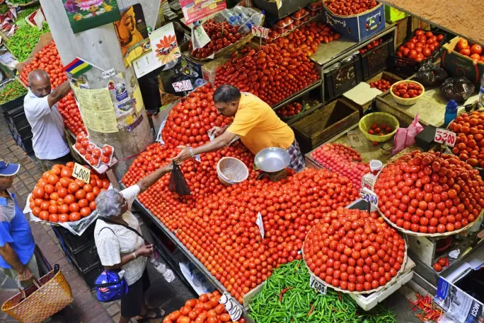 Framed Print : A tradesmen selling tomatos from his stall at the Big Vegetable Market, Port Louis Framed Print : A tradesmen selling tomatos from his stall at the Big Vegetable Market, Port Louis
