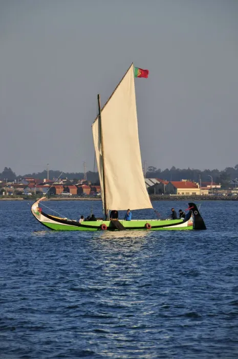 Framed Print : A traditional boat (moliceiro) in the Aveiro river. Portugal Framed Print : A traditional boat (moliceiro) in the Aveiro river. Portugal