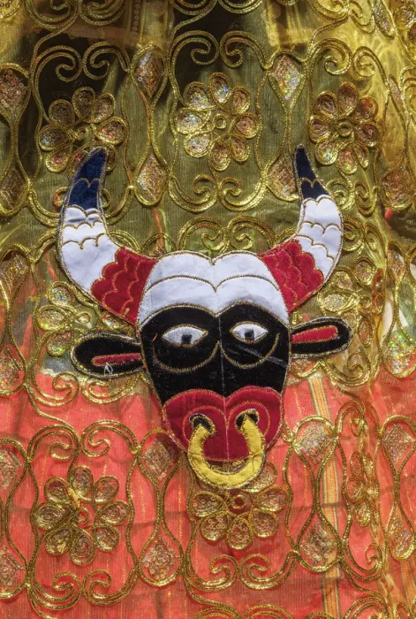 Framed Print : Detail of the Traditional Costume, Fiesta de la Virgen de la Candelaria, Copacabana Framed Print : Detail of the Traditional Costume, Fiesta de la Virgen de la Candelaria, Copacabana