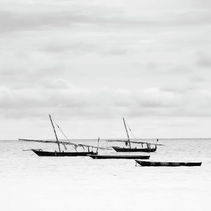 Framed Print : Traditional dhows in the sea, Nungwi, Zanzibar, Tanzania, Africa Framed Print : Traditional dhows in the sea, Nungwi, Zanzibar, Tanzania, Africa