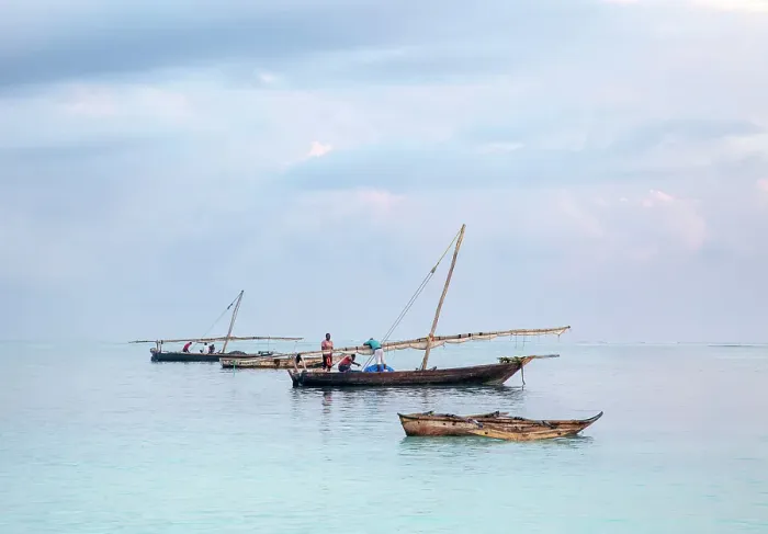 Framed Print : Traditional dhows in the sea, Nungwi, Zanzibar, Tanzania Framed Print : Traditional dhows in the sea, Nungwi, Zanzibar, Tanzania