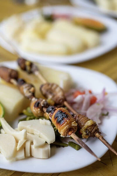 Traditional dish of larvae skewers, Cotundo, Napo Province, Amazonia, Ecuador