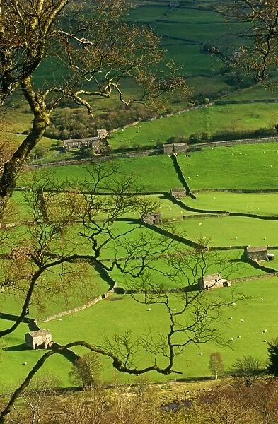 Traditional Farming valley in Swaledale, Yorkshire Dales National Park, England