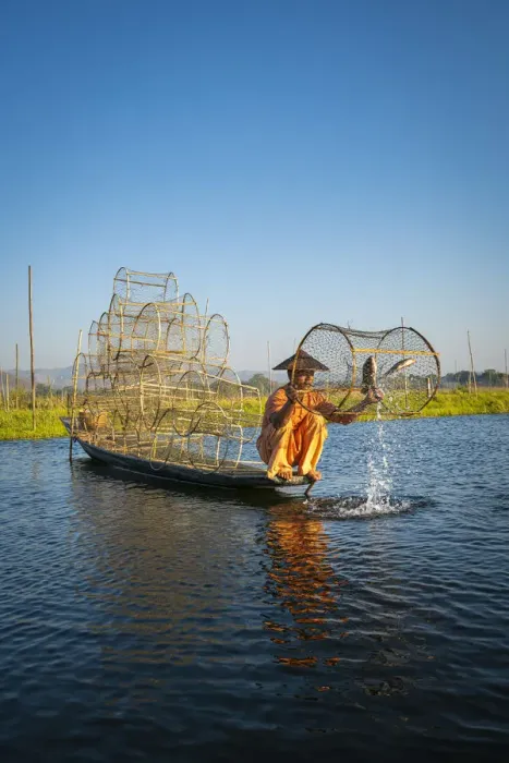 Framed Print : Traditional fisherman fishing on Lake Inle using cylinder fishing nets, Lake Inle Framed Print : Traditional fisherman fishing on Lake Inle using cylinder fishing nets, Lake Inle