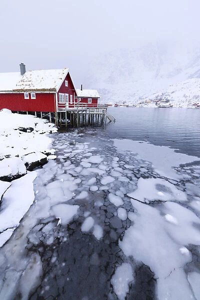 Traditional fishermans huts (Rorbu) on the icy sea, Reine Bay, Lofoten Islands