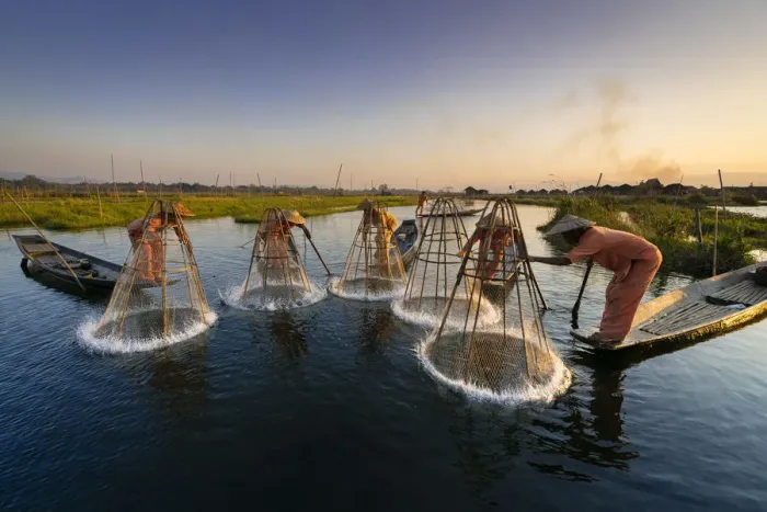 Framed Print : Five traditional fishermen fishing together using conical nets, Lake Inle
