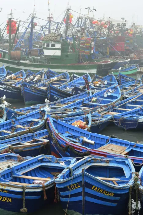Framed Print : Traditional fishing boats in the busy fishing harbour of Essaouira, the third in Framed Print : Traditional fishing boats in the busy fishing harbour of Essaouira, the third in