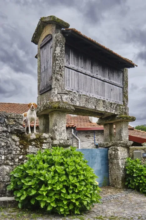 Framed Print : A traditional granary (espigueiro) at Bucos. Cabeceiras de Basto, Minho. Portugal Framed Print : A traditional granary (espigueiro) at Bucos. Cabeceiras de Basto, Minho. Portugal