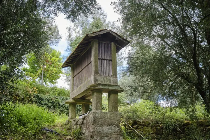 Framed Print : A traditional granary (espigueiro) to store the corn away from the mice. Agunchos, Cerva Framed Print : A traditional granary (espigueiro) to store the corn away from the mice. Agunchos, Cerva