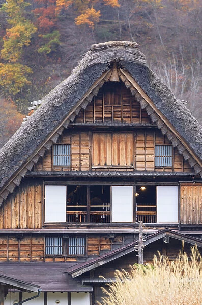 Traditional house of Ogimachi (UNESCO World Heritage Site), Shirakawa-go