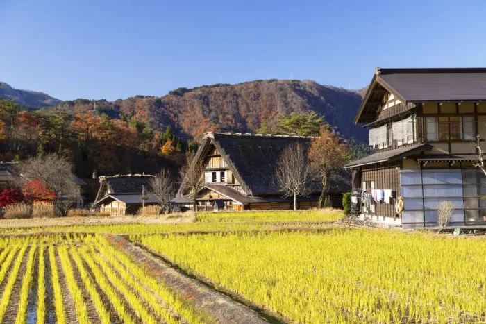 Framed Print : Traditional houses of Ogimachi (UNESCO World Heritage Site), Shirakawa-go Framed Print : Traditional houses of Ogimachi (UNESCO World Heritage Site), Shirakawa-go