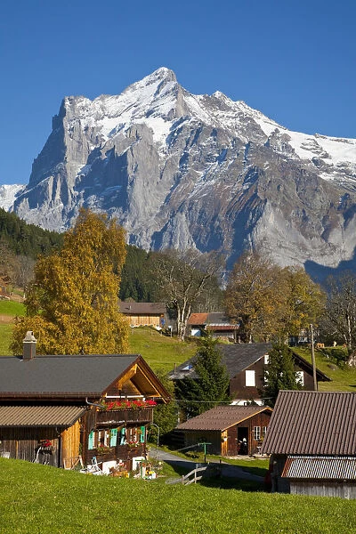 Traditional Houses, Wetterhorn & Grindelwald, Berner Oberland, Switzerland