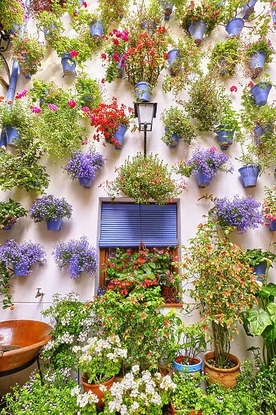 A traditional Patio of Cordoba, a courtyard full of flowers and freshness. San Basilio, Alcazar Viejo. Andalucia, Spain