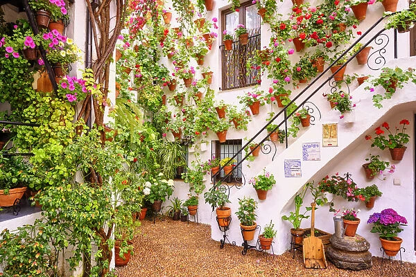 A traditional Patio of Cordoba, a courtyard full of flowers and freshness. Calle Martin de Roa, 7, San Basilio. Andalucia, Spain
