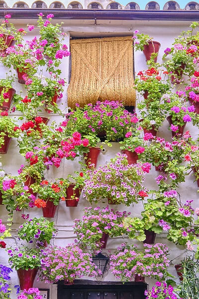 A traditional Patio of Cordoba, a courtyard full of flowers and freshness. A UNESCO Intangible Cultural Heritage of Humanity. Martin de Roa, 7, San Basilio, Andalucia, Spain