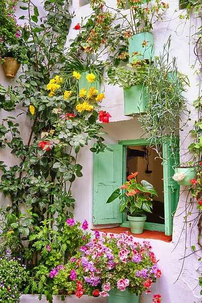 Detail of a traditional Patio of Cordoba, a courtyard full of flowers and freshness. Andalucia, Spain
