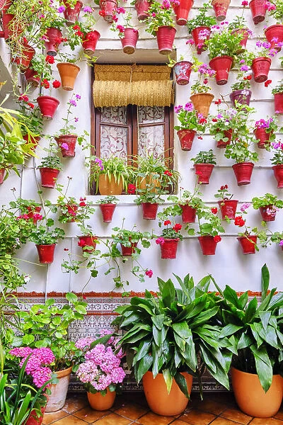 Detail of a traditional Patio of Cordoba, a courtyard full of flowers and freshness. San Francisco district, Andalucia. Spain