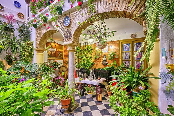 A traditional Patio of Cordoba, a courtyard full of flowers and freshness. A UNESCO Intangible Cultural Heritage of Humanity. Andalucia, Spain
