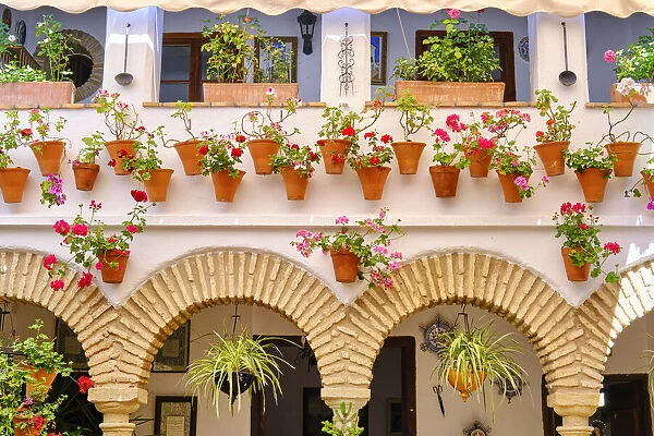 A detail of a traditional Patio of Cordoba, a courtyard full of flowers and freshness. A UNESCO Intangible Cultural Heritage of Humanity. Juderia, San Francisco. Andalucia, Spain