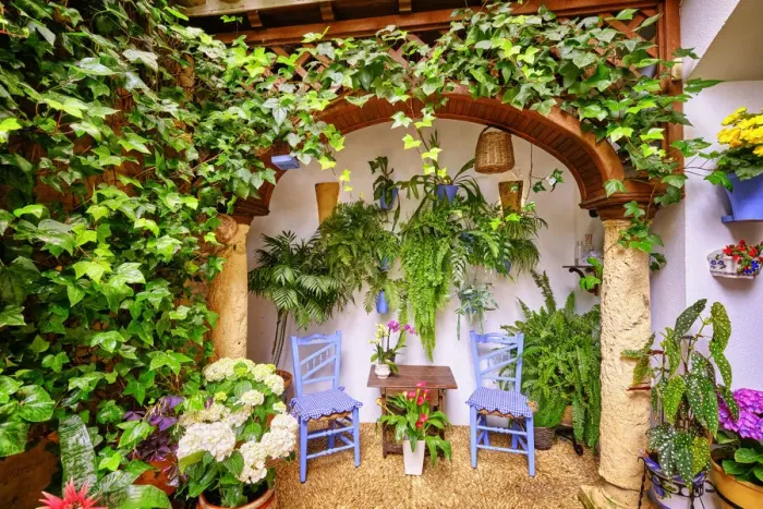 Framed Print : A traditional Patio of Cordoba, a courtyard full of flowers and freshness. San Basilio, Alcazar Viejo. Andalucia, Spain Framed Print : A traditional Patio of Cordoba, a courtyard full of flowers and freshness. San Basilio, Alcazar Viejo. Andalucia, Spain