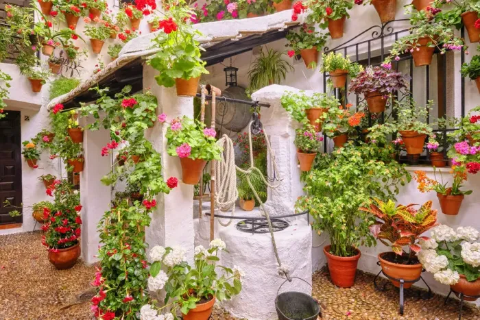 Framed Print : A traditional Patio of Cordoba, a courtyard full of flowers and freshness. San Basilio, Andalucia, Spain Framed Print : A traditional Patio of Cordoba, a courtyard full of flowers and freshness. San Basilio, Andalucia, Spain