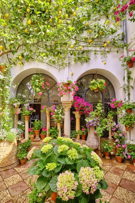 Framed Print : A traditional Patio of Cordoba, a courtyard full of flowers and freshness. A UNESCO Intangible Cultural Heritage of Humanity. Andalucia, Spain