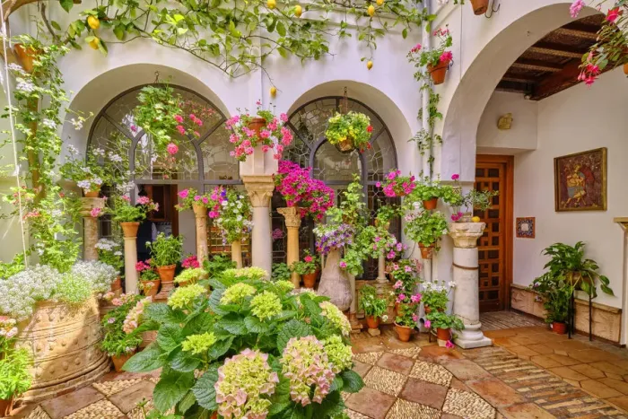 Framed Print : A traditional Patio of Cordoba, a courtyard full of flowers and freshness. A UNESCO Intangible Cultural Heritage of Humanity. Andalucia, Spain Framed Print : A traditional Patio of Cordoba, a courtyard full of flowers and freshness. A UNESCO Intangible Cultural Heritage of Humanity. Andalucia, Spain