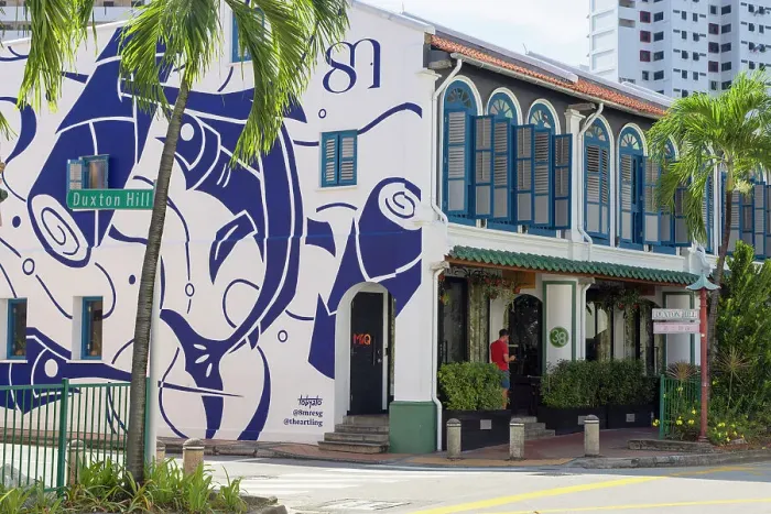 Framed Print : Traditional Peranakan shophouses, Tanjong Pagar, Singapore Framed Print : Traditional Peranakan shophouses, Tanjong Pagar, Singapore