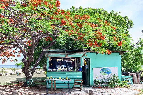 Traditional products and drinks on sale at a beach kiosk, Antigua, Antigua & Barbuda, Caribbean, West Indies