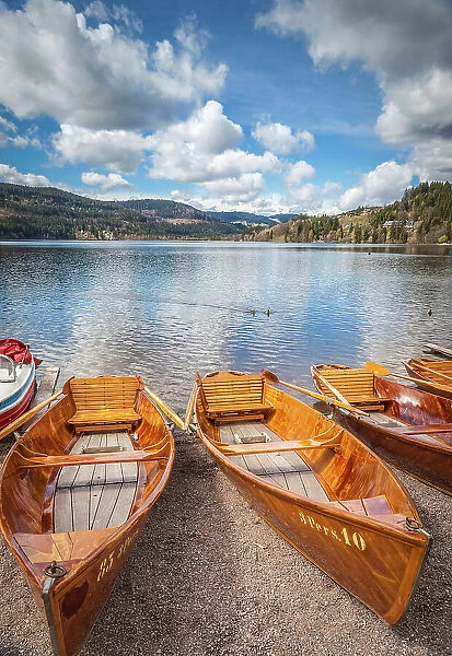 Traditional rowing boats at Lake Titsee, Black Forest, Baden-Wurttemberg, Germany