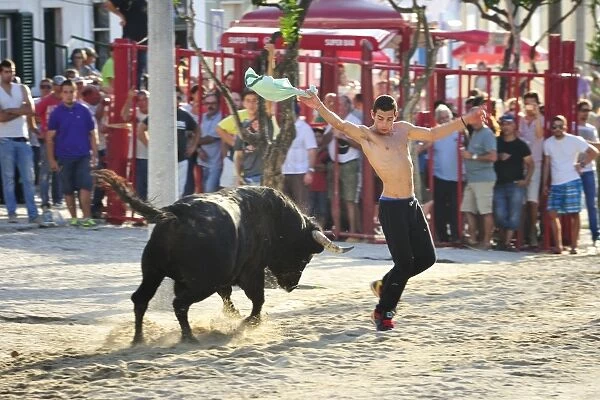 Traditional running of wild bulls during the Barrete Verde (Green Cap) festivities