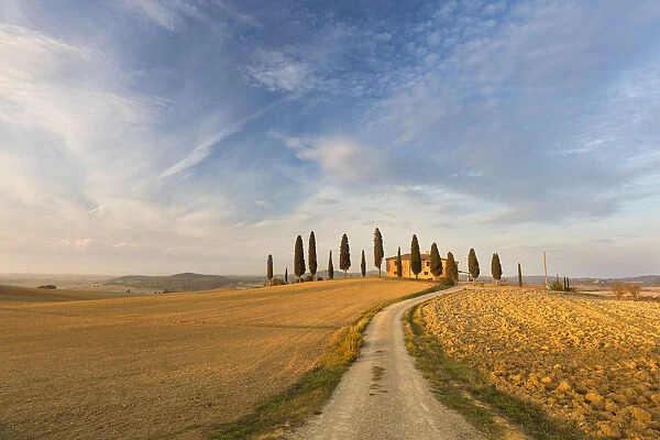 Traditional stone farmhouse surrounded by cypress trees and ploughed fields, Pienza