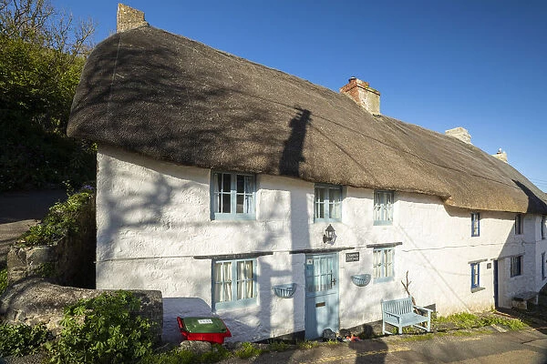 Traditional thatched cottage, Cadgwith Cove, Cornwall, England, UK