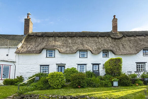 Traditional thatched cottage, Coverack, Cornwall, England, UK
