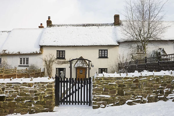 Traditional thatched cottage along Fore Street, forming part of the longest continuous