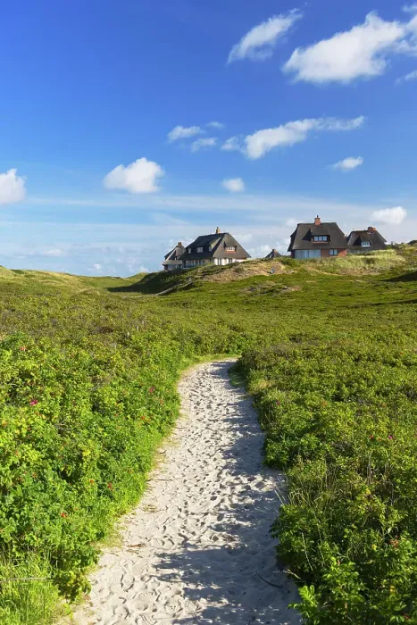 Framed Print : Traditional thatched houses in sand dunes, Hornum, Sylt, Schleswig Holstein, Germany