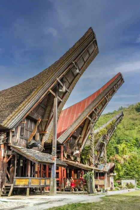 Framed Print : Traditional Toraja houses in Rantepao, Tana Toraja, Sulawesi, Indonesia Framed Print : Traditional Toraja houses in Rantepao, Tana Toraja, Sulawesi, Indonesia
