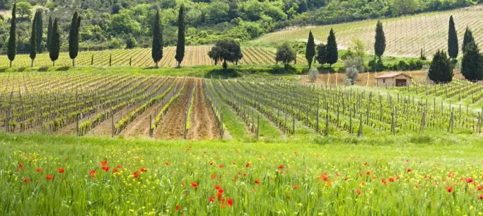 Framed Print : Traditional Tuscan landscape, Valle de Orcia, Tuscany, Italy Framed Print : Traditional Tuscan landscape, Valle de Orcia, Tuscany, Italy