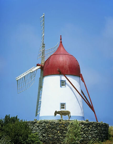 A traditional windmill in Guadalupe. Graciosa, Azores islands, Portugal