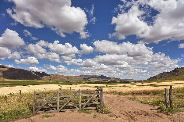 A traditional wooden gate of an estancia with a field of wheat in the background