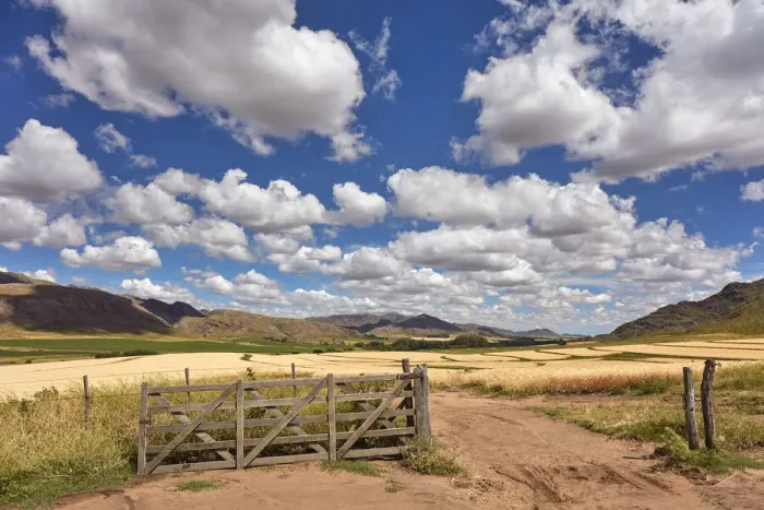 Framed Print : A traditional wooden gate of an estancia with a field of wheat in the background Framed Print : A traditional wooden gate of an estancia with a field of wheat in the background