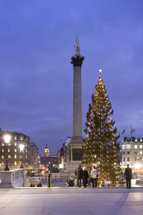 Framed Print : Trafalgar Square at Christmas, London, England Framed Print : Trafalgar Square at Christmas, London, England