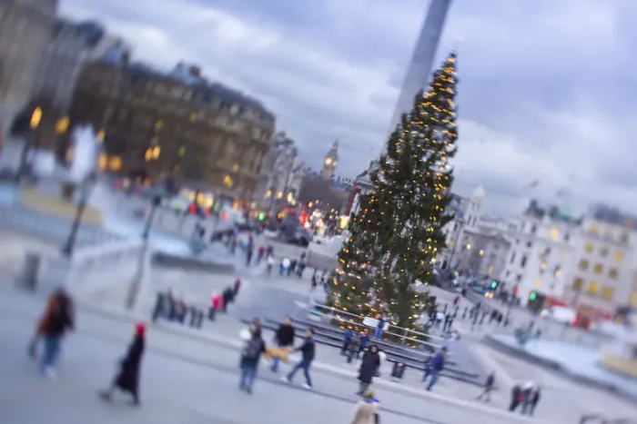 Framed Print : Trafalgar Square at Christmas, London, England Framed Print : Trafalgar Square at Christmas, London, England