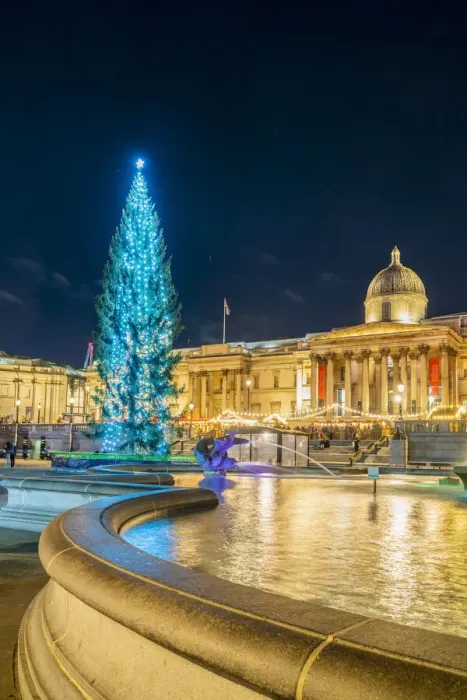 Framed Print : Trafalgar Square illuminated at night at Christmas, London, England, UK