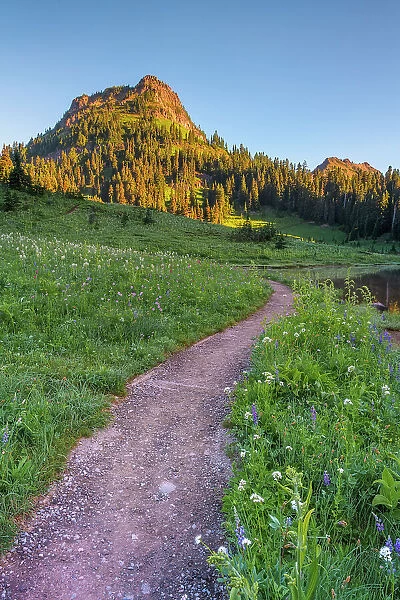 Trail along Lower Tipsoo Lake with Naches Peak in the background, Nationalpark Mt. Rainier, North West, Washington State, USA