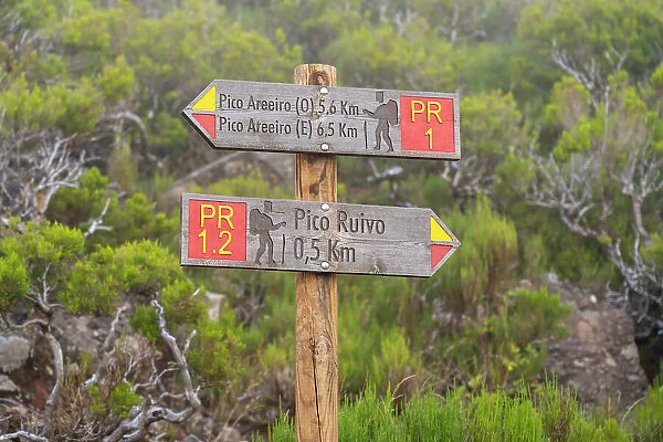 Trail signs showing directions to Pico Areeiro and Pico Ruivo, Santana, Madeira, Portugal