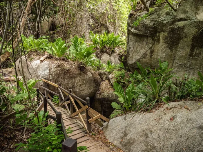 Framed Print : Trail in Tayrona National Natural Park, Magdalena Department, Caribbean, Colombia
