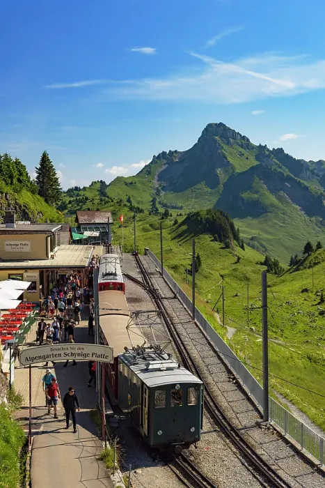 Framed Print : Train of cogwheel railway at Schynige Platte station, Jungfrau Region, Bernese Oberland, Switzerland
